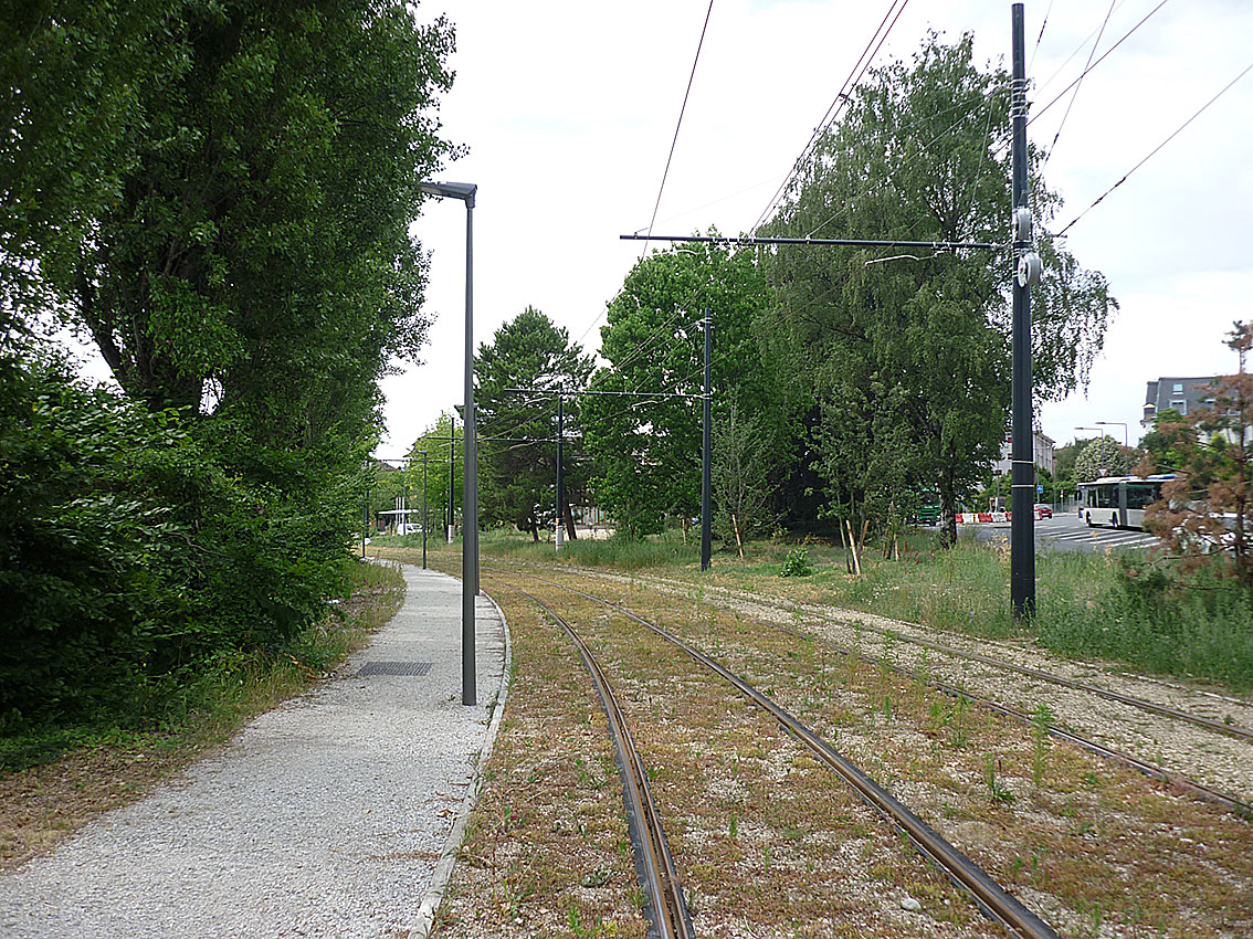 Die Kurve kurz vor der Haltestelle Renens VD Hôtel-de-Ville/ECAL, Blick in Richtung Bahnhof Renens
